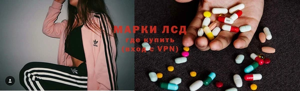 прущие грибы Нязепетровск