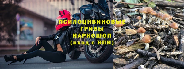 ПСИЛОЦИБИНОВЫЕ ГРИБЫ Новодвинск