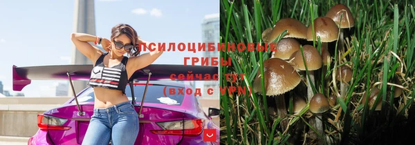 прущие грибы Нязепетровск