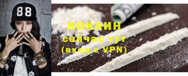 ПСИЛОЦИБИНОВЫЕ ГРИБЫ Новодвинск