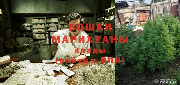 ПСИЛОЦИБИНОВЫЕ ГРИБЫ Новодвинск