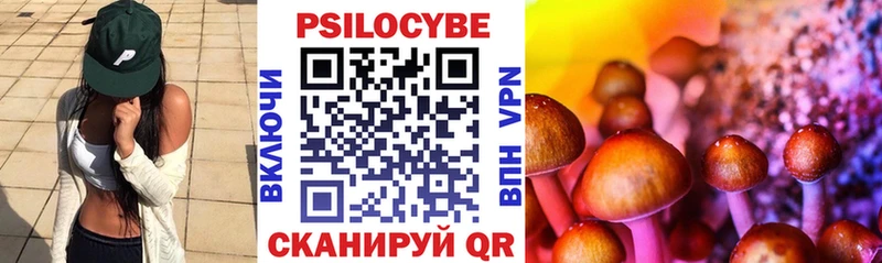 Псилоцибиновые грибы Psilocybe  Купить где  Отрадное 